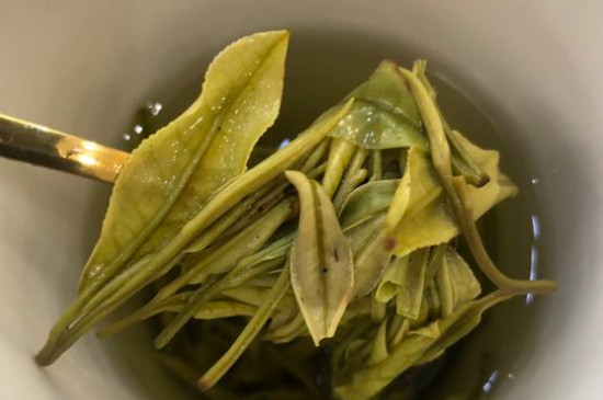 新舊白茶怎么區(qū)分，怎么分辨白茶是新還是舊