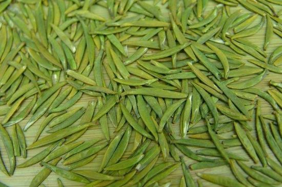 竹葉青和毛尖的區(qū)別，毛尖和竹葉青怎么分辨？