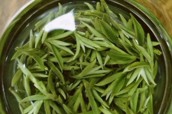 什么綠茶茶葉唇齒留香，哪個品種綠茶香氣好？