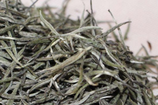 什么人不能喝白茶，白茶不宜什么人喝？