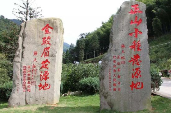 300塊錢(qián)的金駿眉能喝嗎，兩三百多金駿眉和一千多區(qū)別