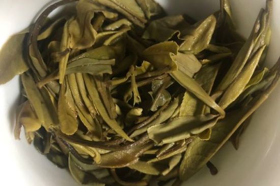 三年白茶賽砒霜，這是真的嗎？