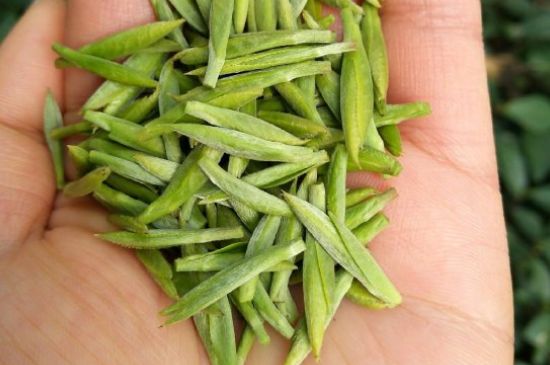 什么綠茶味道濃香，那個(gè)綠茶比較濃香？