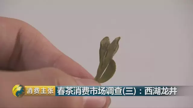 龍井群體種和43號(hào)的區(qū)別圖片，龍井43和群體種哪個(gè)好喝？