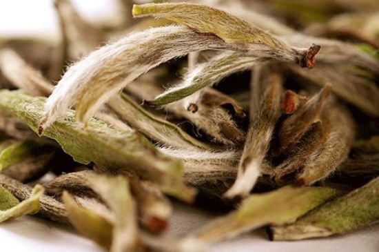 荒野銀針有什么特點(diǎn)，荒野銀針的味道口感咋樣？