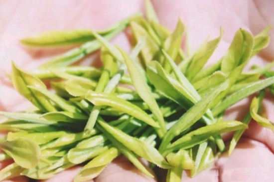 龍井是明前的好還是雨前的好，明前茶和雨前茶哪個(gè)好喝？