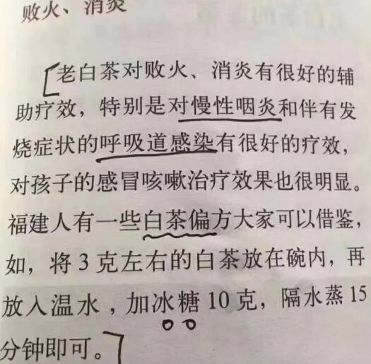 老白茶上火還是去火？夏季喝煮的老白茶會容易上火！