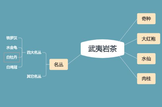 武夷巖茶品種大全，巖茶有幾種？