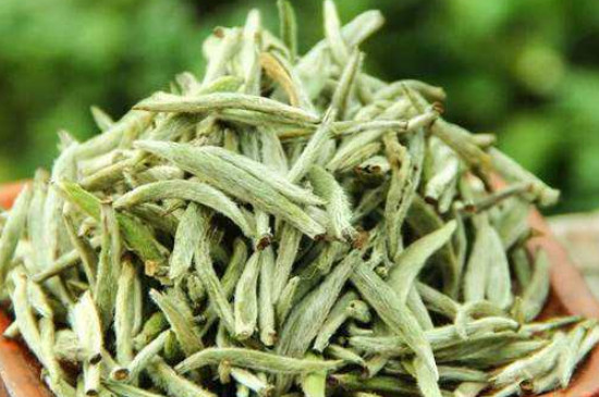 白毫銀針年份越久越好嗎，銀針白毫是否越陳越好