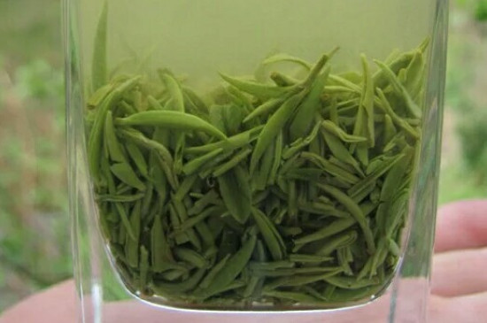 什么綠茶茶葉唇齒留香，哪個品種綠茶香氣好？