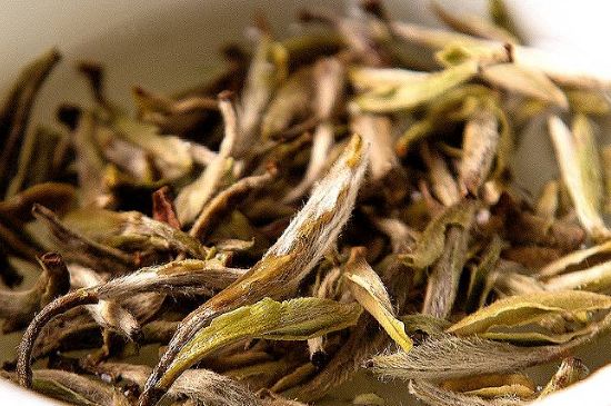 荒野銀針市場價多少，真正的荒野白毫銀針多少錢？