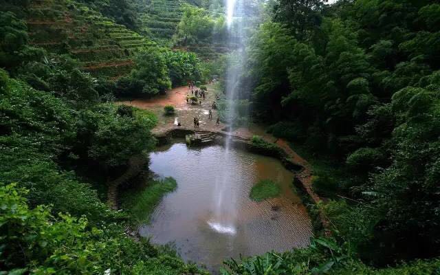 武夷山為什么盛產(chǎn)茶葉，武夷山茶為什么好喝？