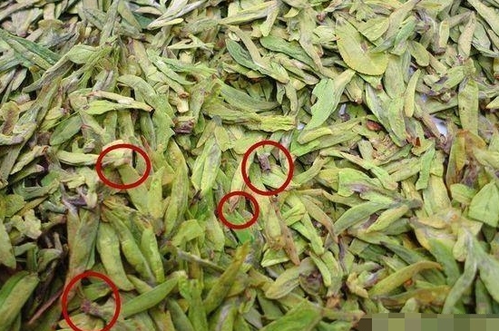 烏牛早和龍井的區(qū)別圖片，龍井43號(hào)和烏牛早茶的對(duì)比
