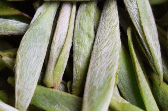 荒野銀針有什么特點(diǎn)，荒野銀針的味道口感咋樣？