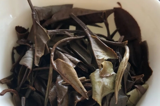 老白茶上火還是去火？夏季喝煮的老白茶會容易上火！