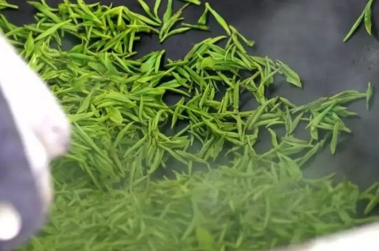 碧螺春為什么泡水渾濁，碧螺春茶葉泡水感覺很臟是混濁的