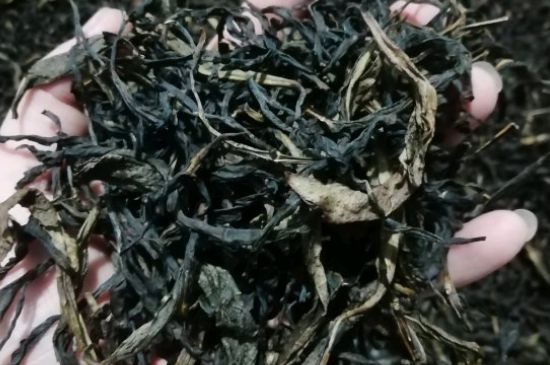 蜜蘭香好還是鴨屎香好，鳳凰單叢茶蜜蘭香和鴨屎香特點有哪些？