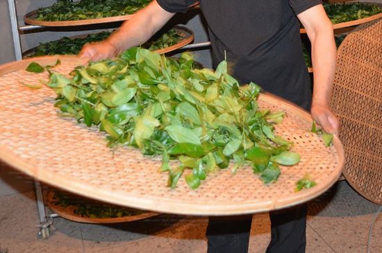 鐵觀音加香精騙局，鐵觀音的香味是添加香精了嗎？