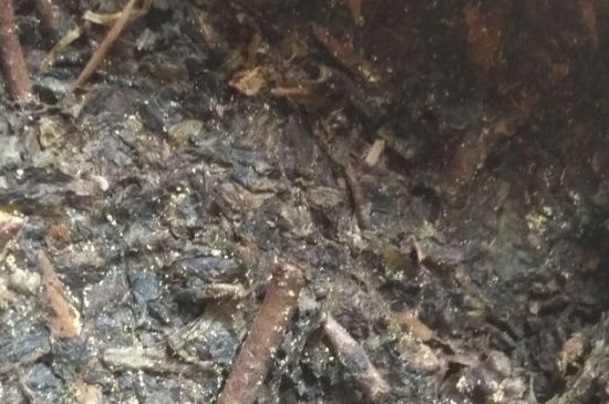 黑茶茯茶保存五大忌，茯茶收藏的注意事項(xiàng)