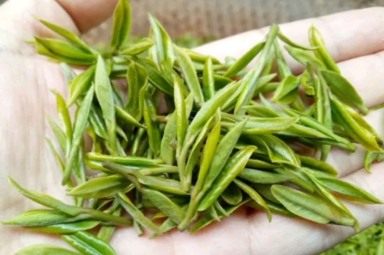 什么是雪前龍井茶，明前、雨前、雨后龍井有什么區(qū)別？