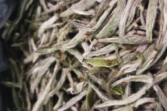 白毫銀針年份越久越好嗎，銀針白毫是否越陳越好