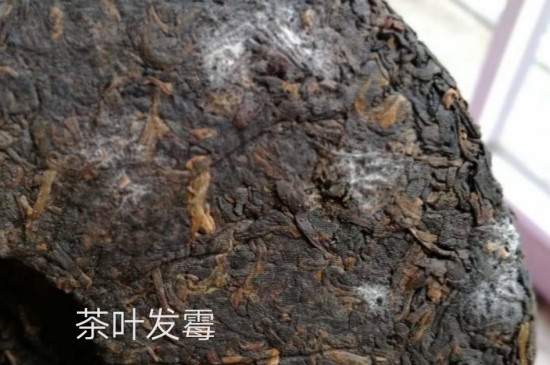 西湖龍井茶毫和發(fā)霉區(qū)別圖片，長霉的龍井茶葉會是什么樣？